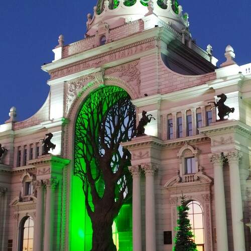 Photo #13591269