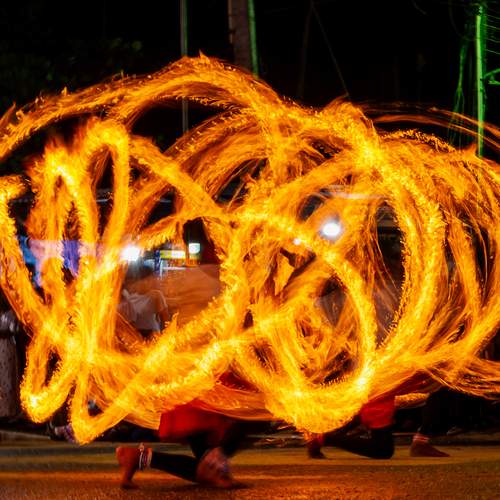 Photo #13591308