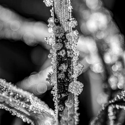 Frozen Geometry