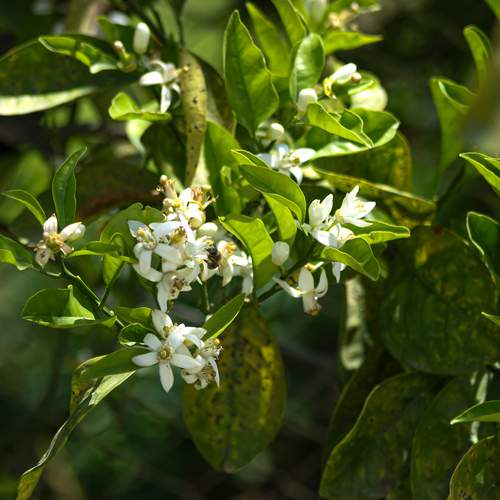 Photo #13591376