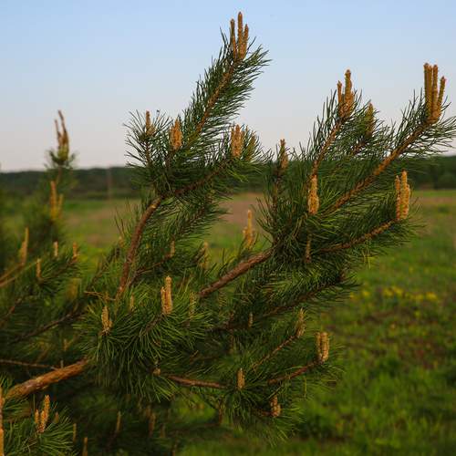 Photo #13591377