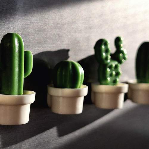 Photo #13591399