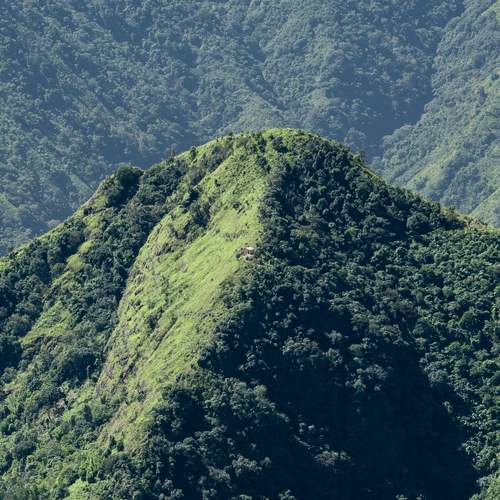 Photo #13591441