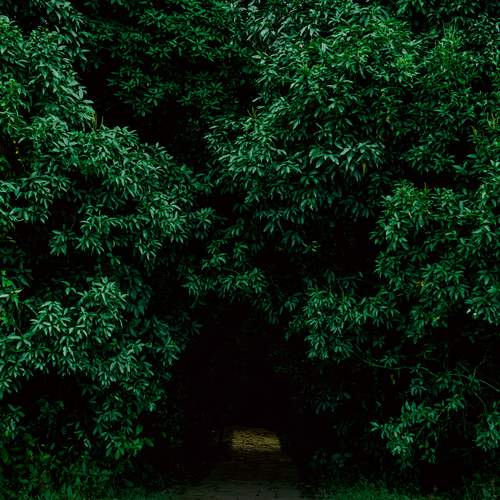 Photo #13591455