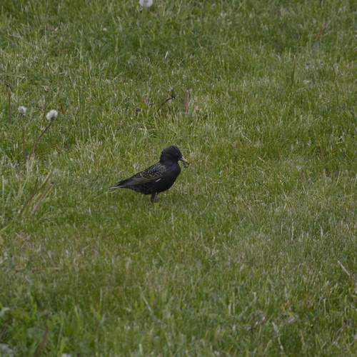 Photo #13591661