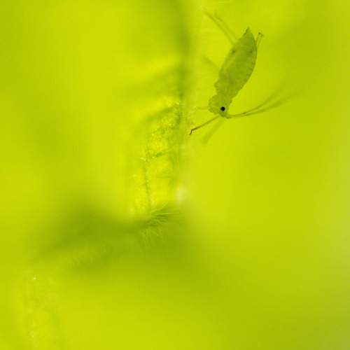 Photo #13591698
