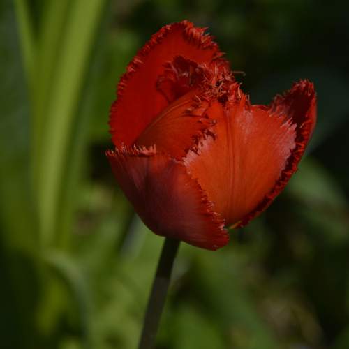Photo #13591710