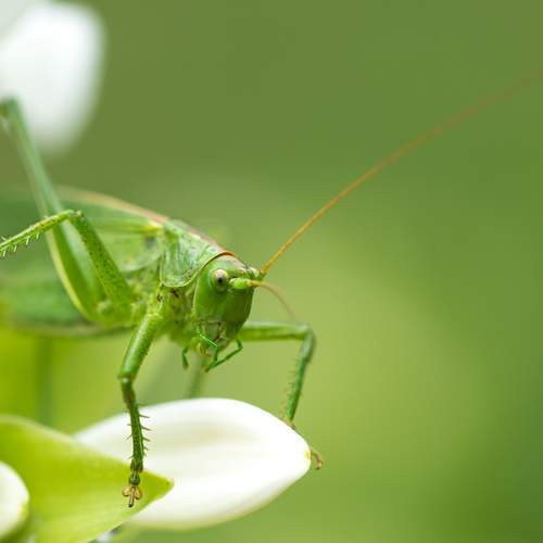 Photo #13591924