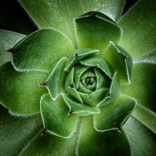 Photo #13591931