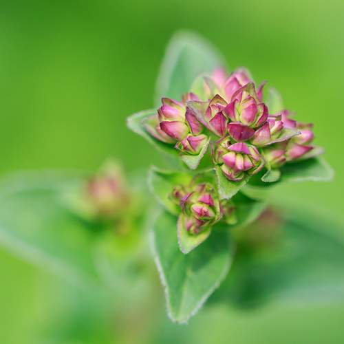 Photo #13591932