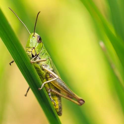 Photo #13591945
