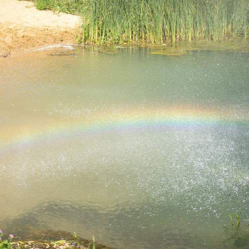 Photo #13591984