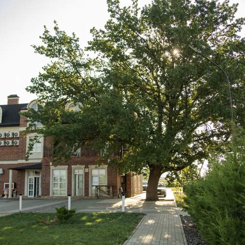 Photo #13591995