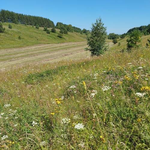 Photo #13592005