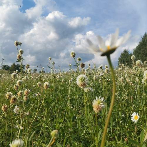 Photo #13592006
