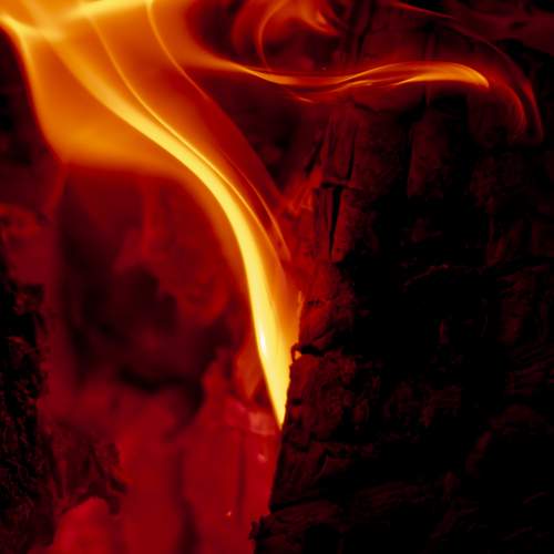 Photo #13592010