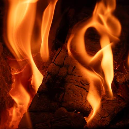 Photo #13592012