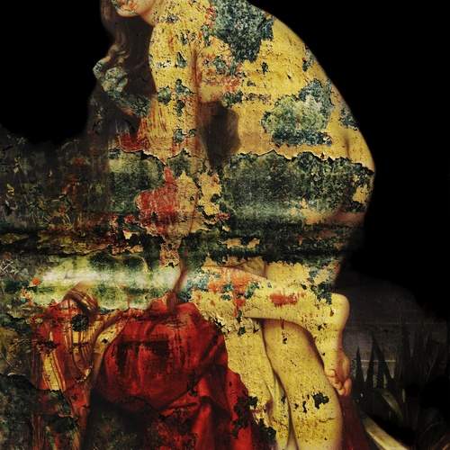 Photo #13592040