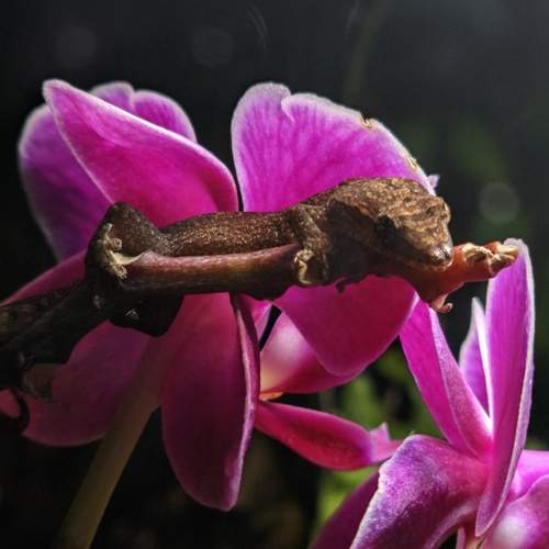 Photo #13592042