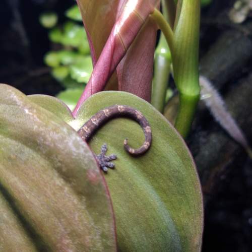 Photo #13592043