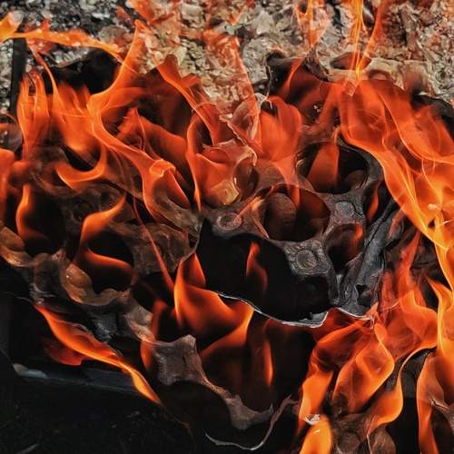 Photo #13592046