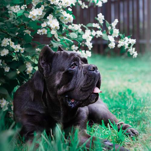 Photo #13592076