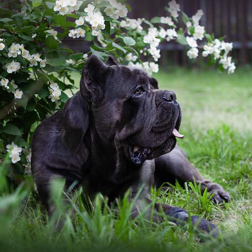 Photo #13592077