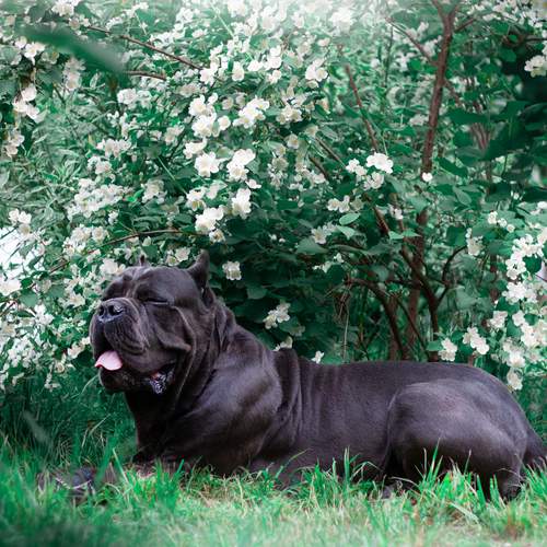 Photo #13592079