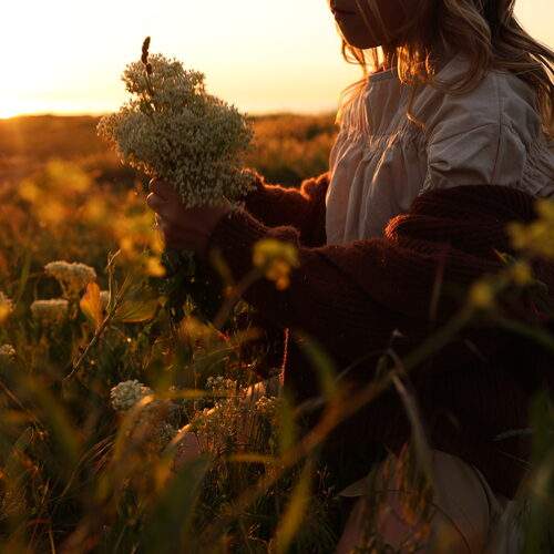 Photo #13592137
