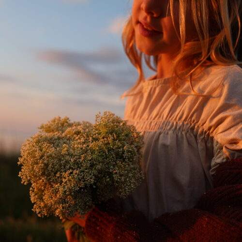 Photo #13592161