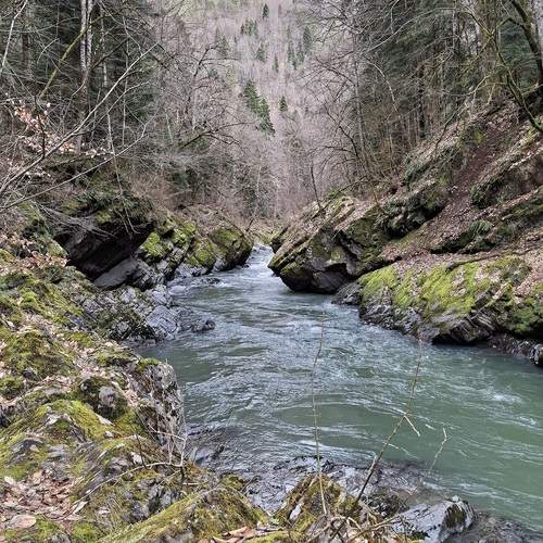 Photo #13592170
