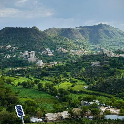 The Green Canvas of Nature