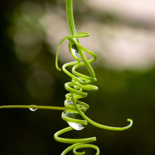 Photo #13592213