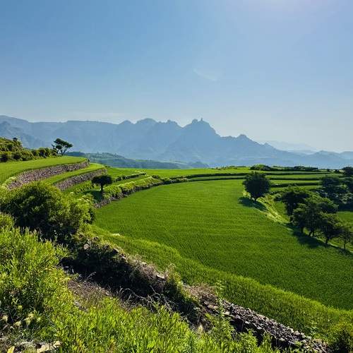 Shades of Emerald Terraces