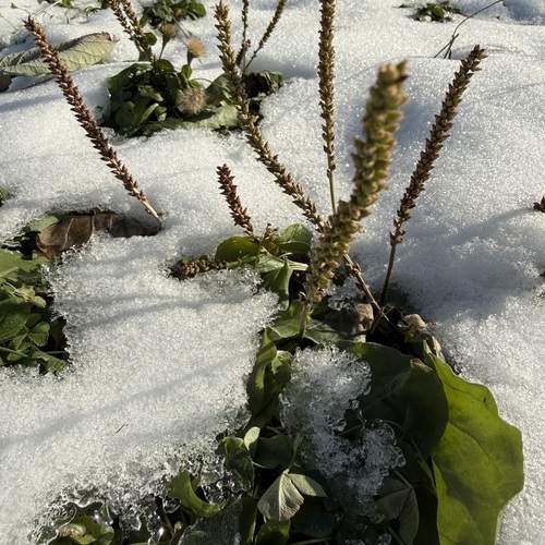 Photo #13592266
