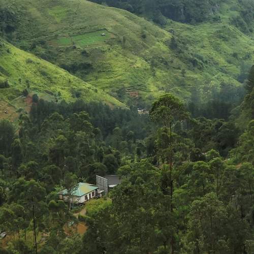 Photo #13592353