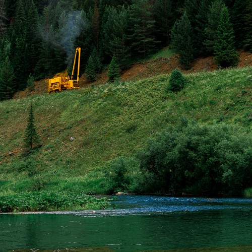 Photo #13592392