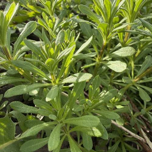Photo #13592564