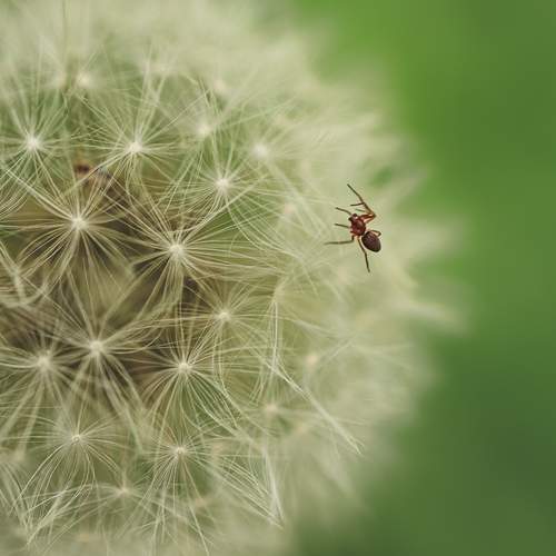 Photo #13592594