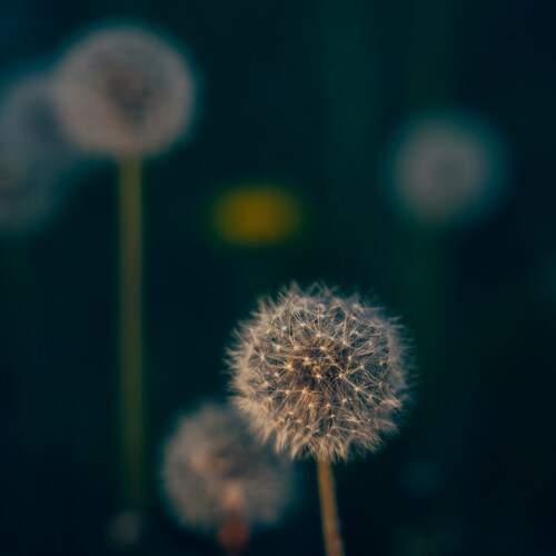 Photo #13592608