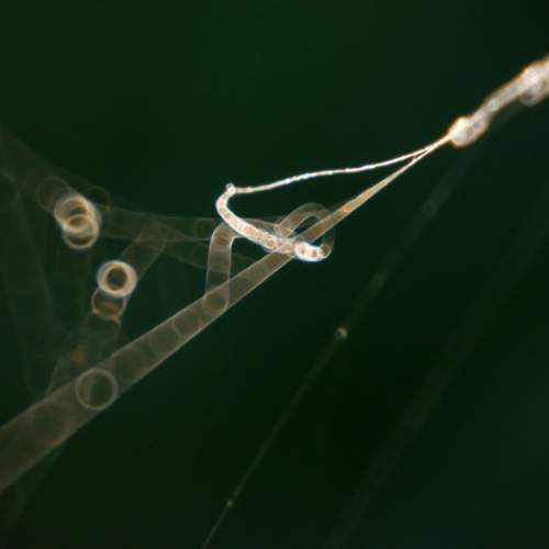 Photo #13592693