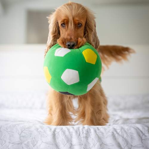 Photo #13592707