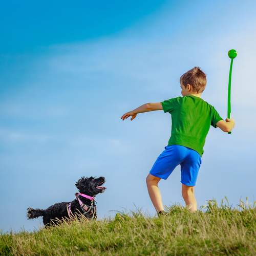 Photo #13592739