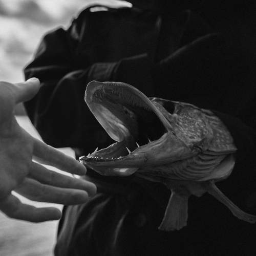 Photo #13592769