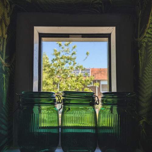 Photo #13592827