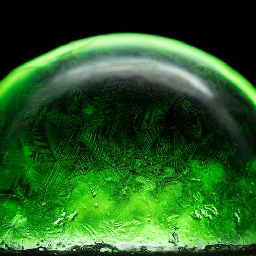 Photo #13592874