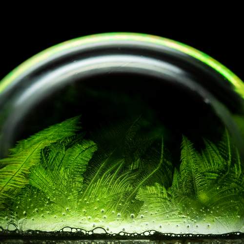 Photo #13592881