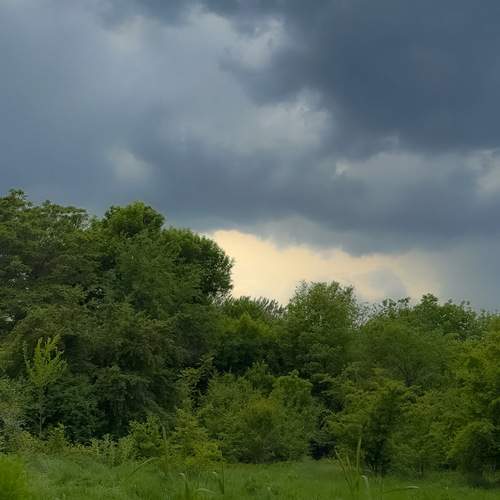 Photo #13592981