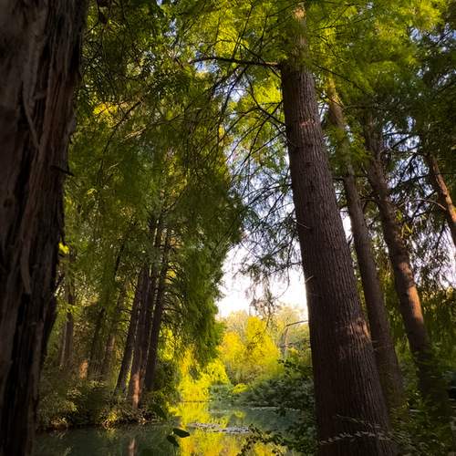 Photo #13592982