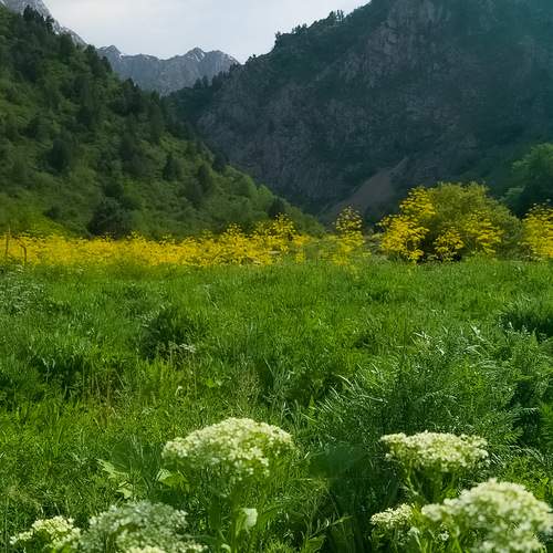 Photo #13592985
